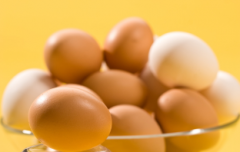 鸡蛋消费料受提振有所回升